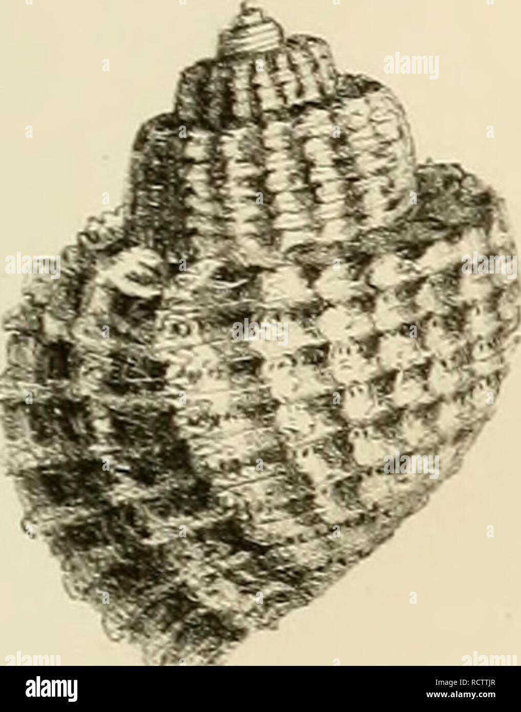 Page 2 Q Xx High Resolution Stock Photography And Images Alamy