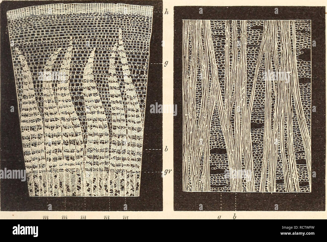 Page 16 Cn 1 C High Resolution Stock Photography And Images Alamy