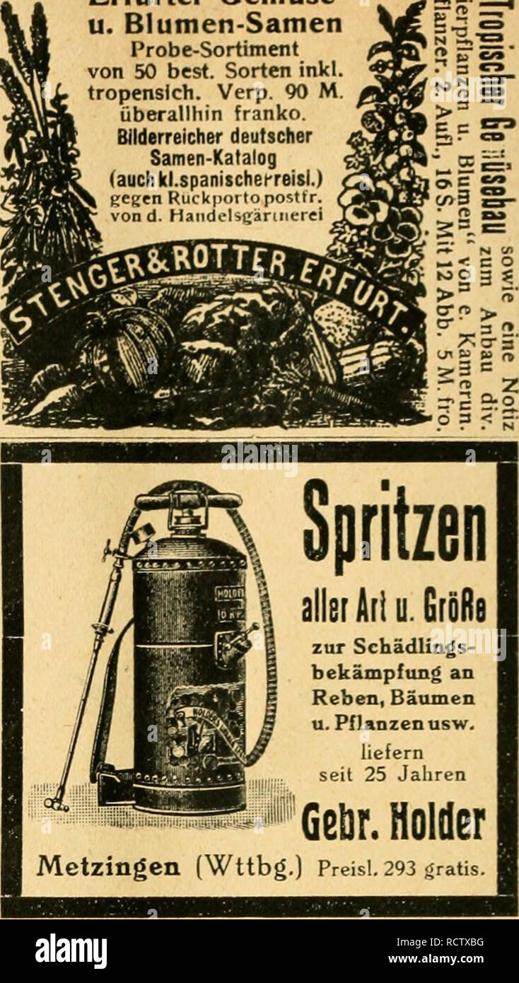 Amateure gratis deutsche