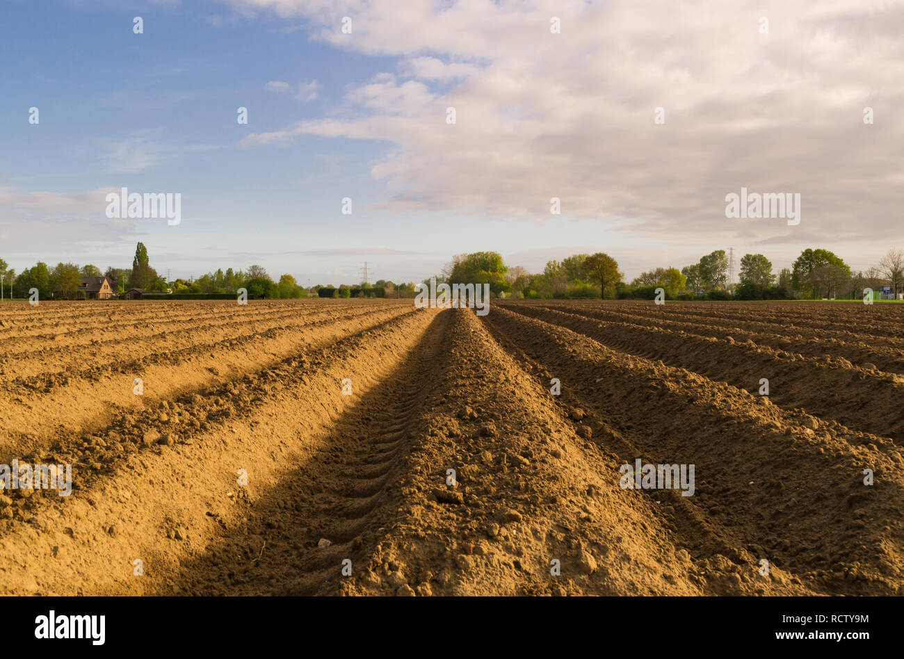 Open farmland in Doetinchem, Holland/ Netherlands. Stock Photo