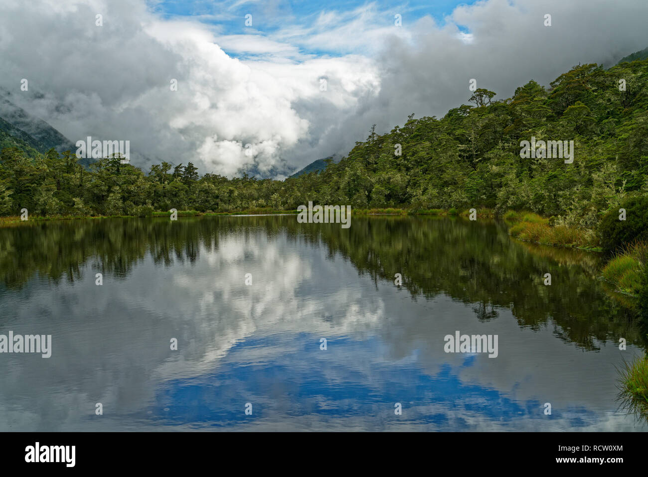 Lewis Pass Tarn at the northern end of the St James Walkway, part of the Te Araroa Trail, New Zealand Stock Photo