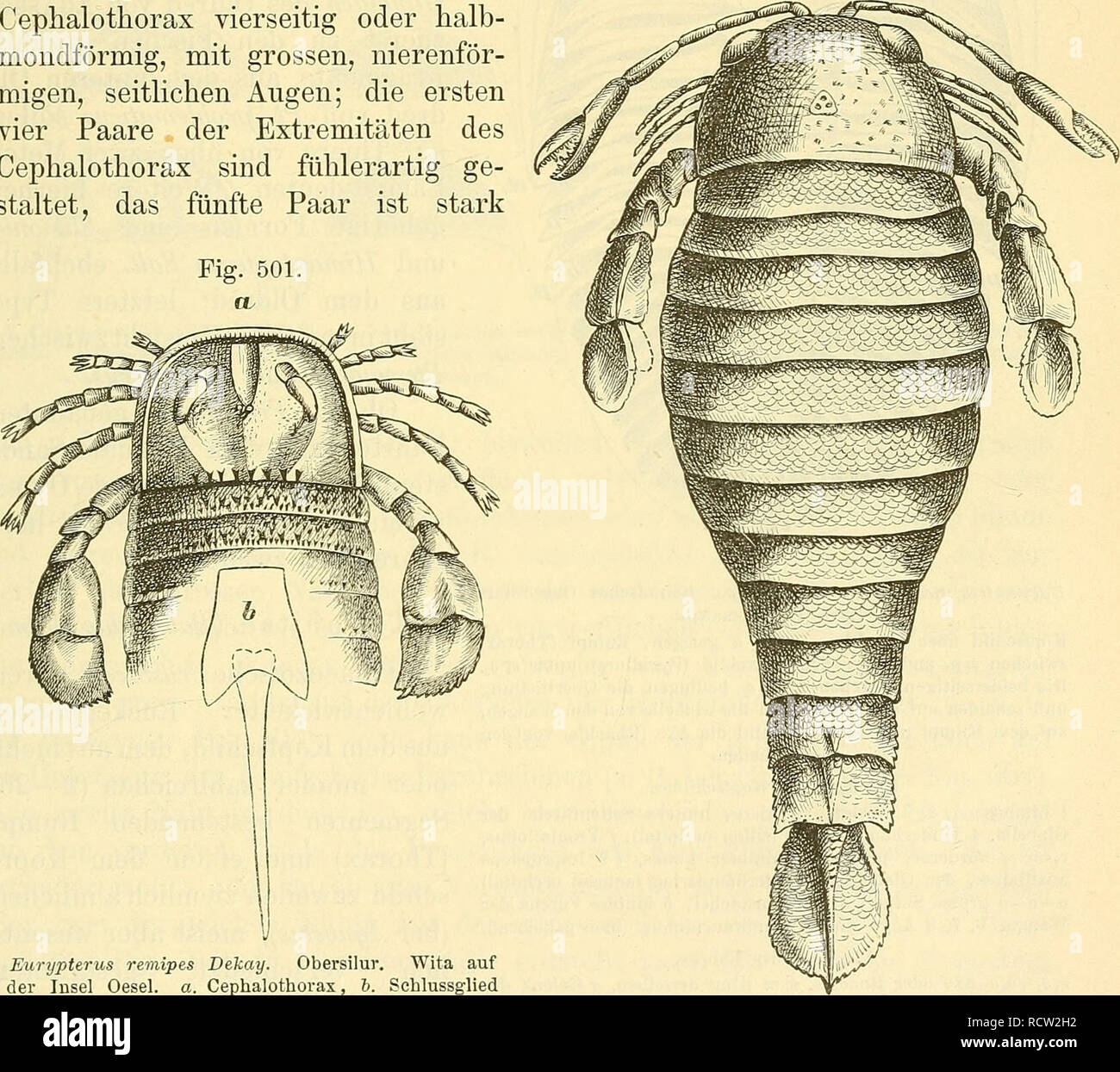 500 langen hires stock photography and images Alamy