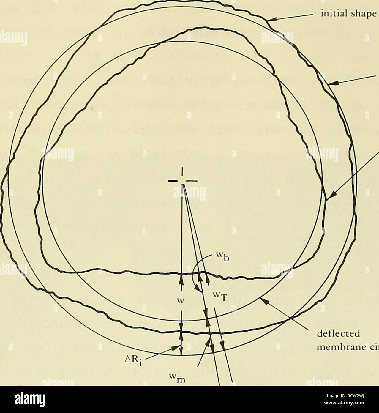 . Design for implosion of concrete cylinder structures under hydrostatic loading. Underwater concrete construction; Hydraulic structures. initial shape. initial membrane circle deflected shape deflected membrane circle w = displacement from initial to deflected shape Wj^ = displacement from mem- brane behavior Wu = displacement from bending w-j. = total displacement ARj = initial deviation in inside radius Figure B-17. Definition of displacement terms. When a deflected shape was plotted the reference point was the location of the center shaft that held the potentiometer; however, this location Stock Photo