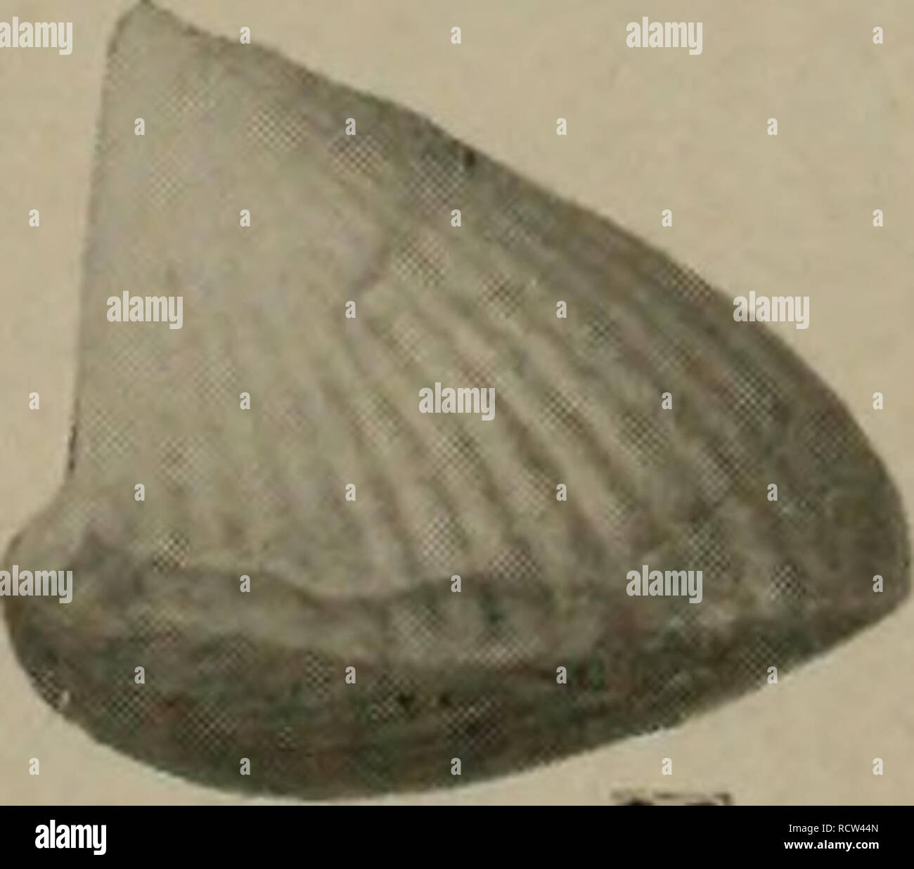 . The Devonian of Missouri. Geology; Geology, Stratigraphic ...