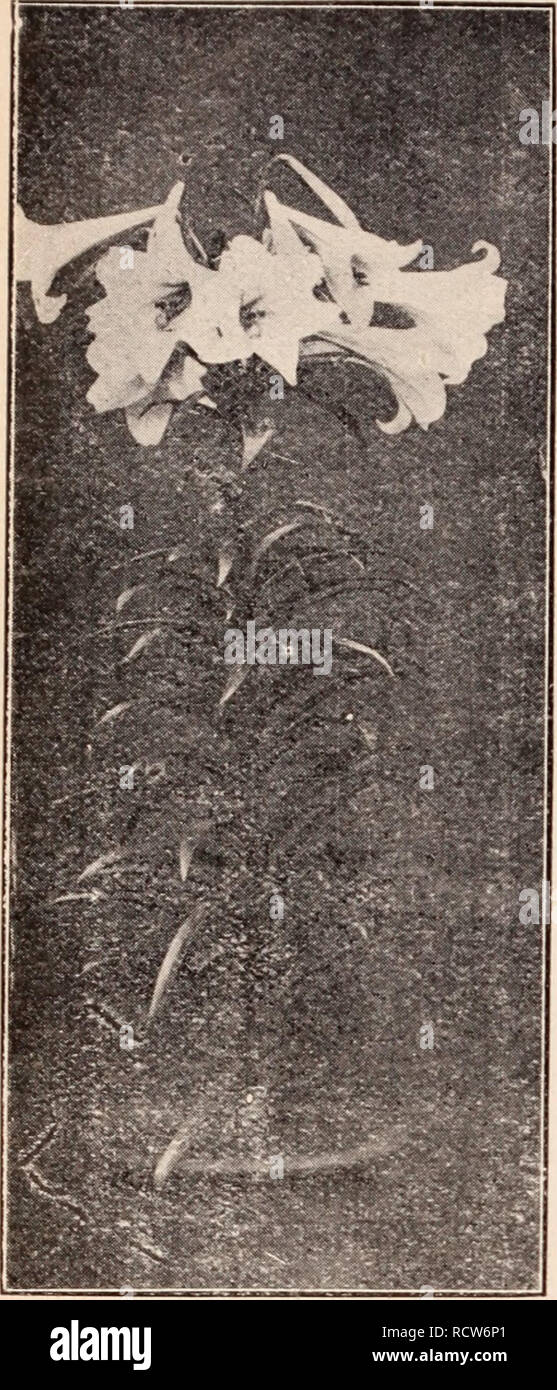 Page 3 70 8 59 7 High Resolution Stock Photography And Images Alamy