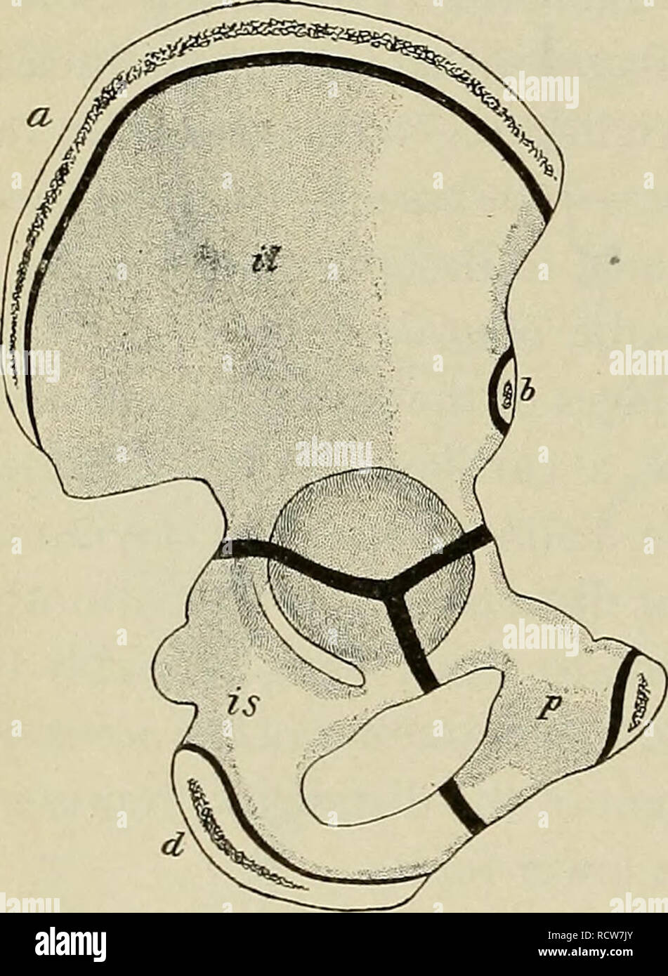 Upper body rotation hi-res stock photography and images - Alamy