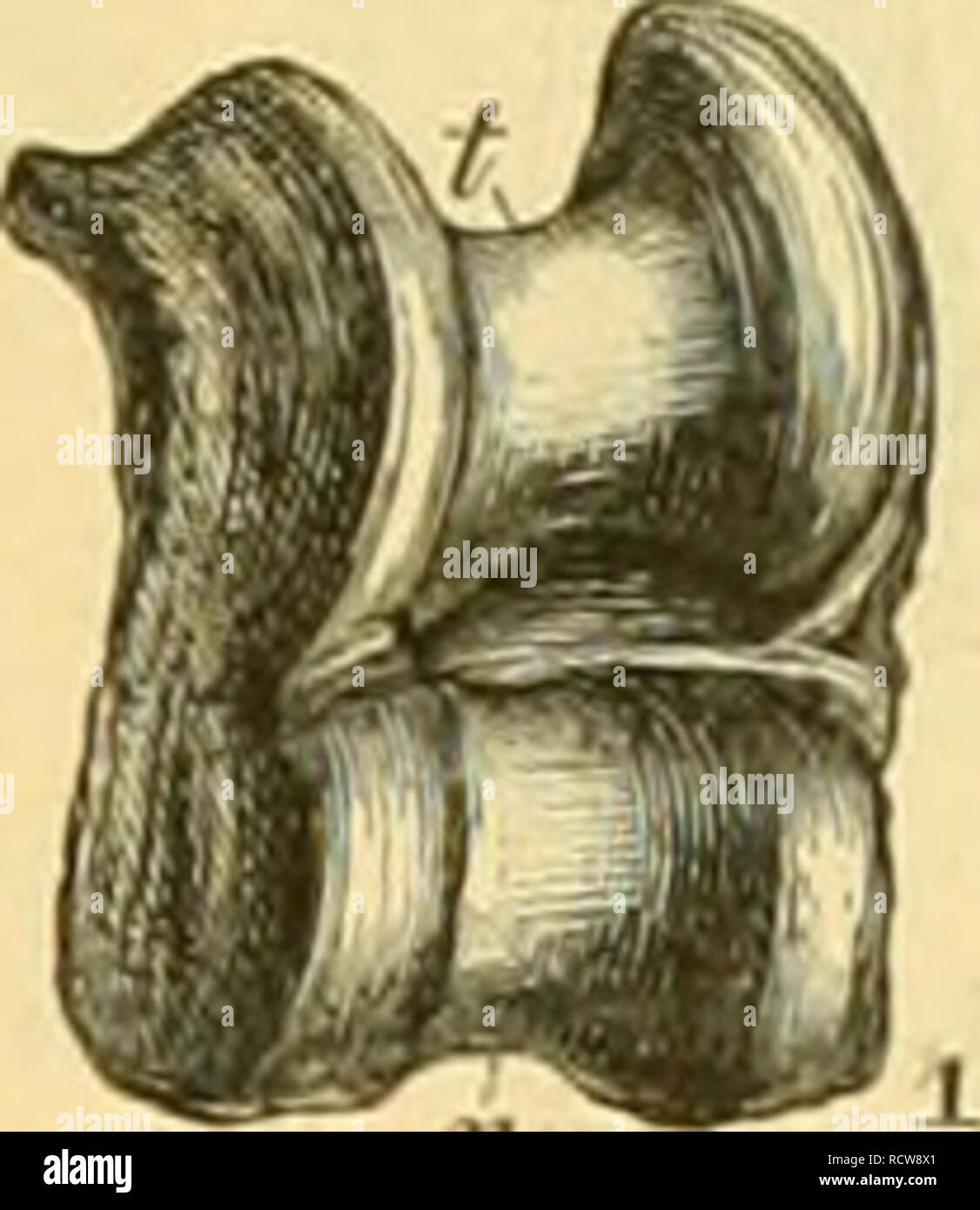 C Klasse High Resolution Stock Photography And Images Alamy