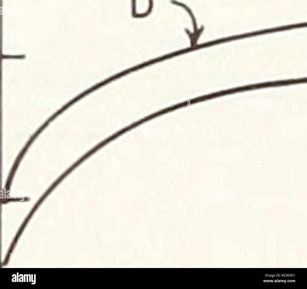 Blackjack Specialized Flat Rock Al