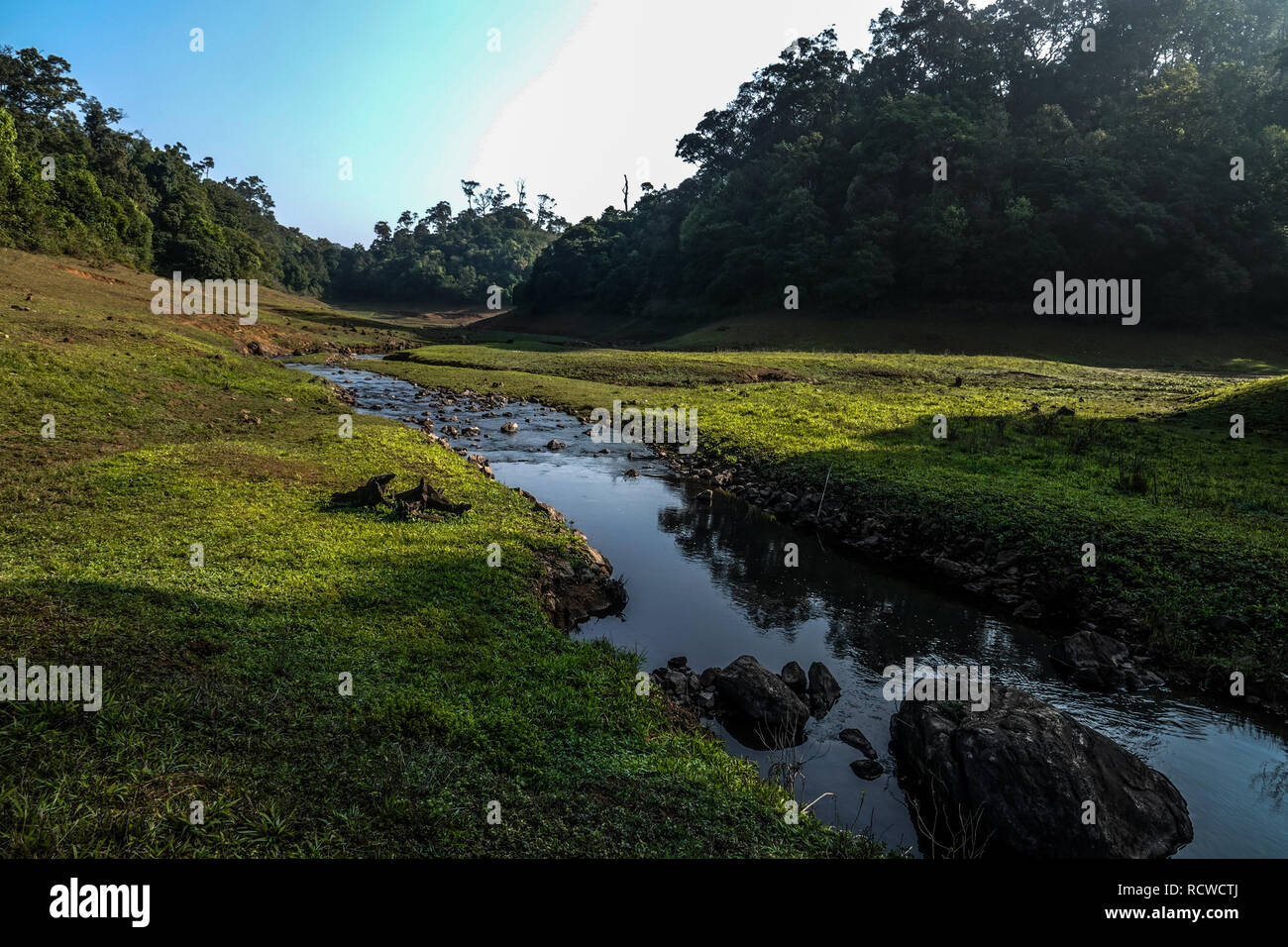Morning landscape in Gavi ecotourism forest with wide variety of birds, monkeys and a herd of elephants in its natural habitat Stock Photo