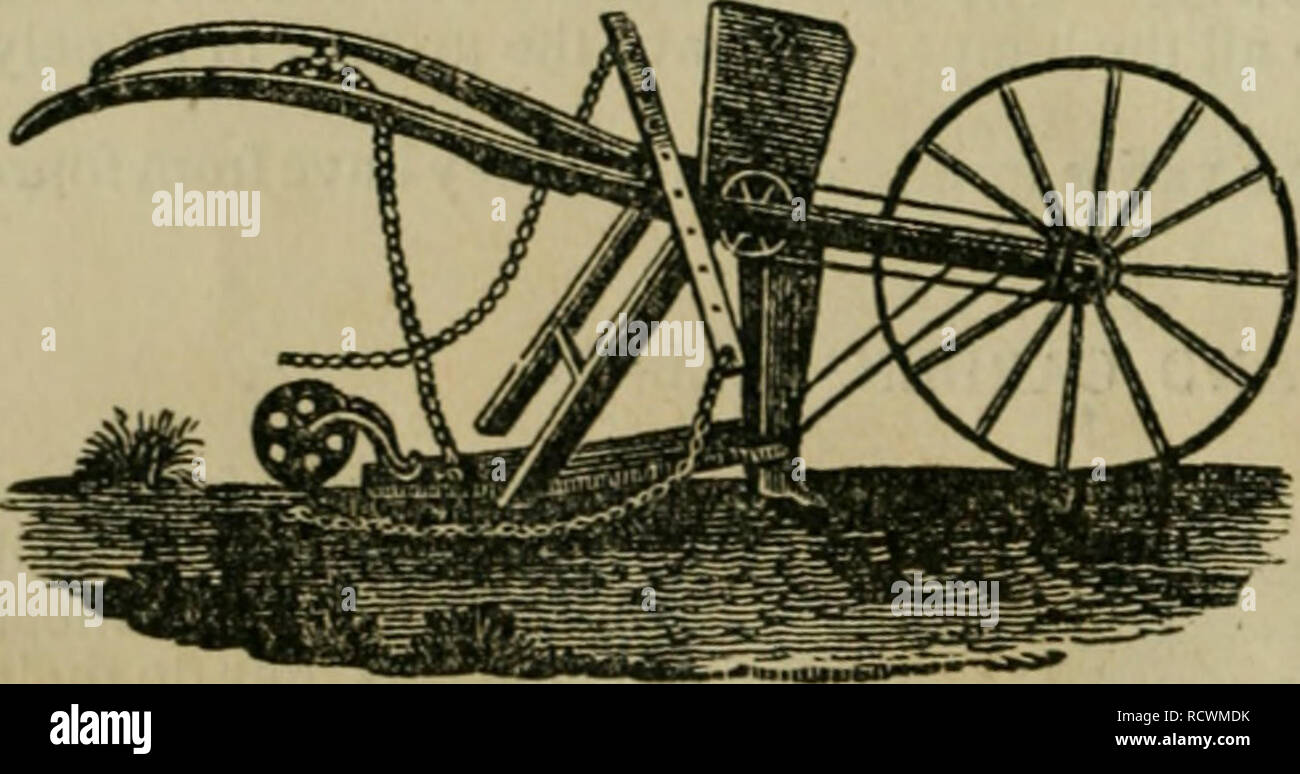Descriptive Catalogue Of Horticultural And Agricultural
