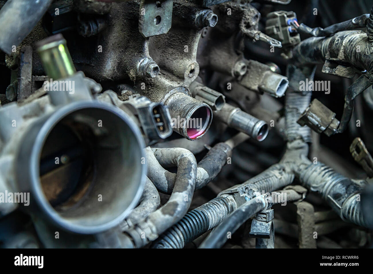 Closeup of engine failure pink antifreeze flows from the engine pipes of an old car Stock