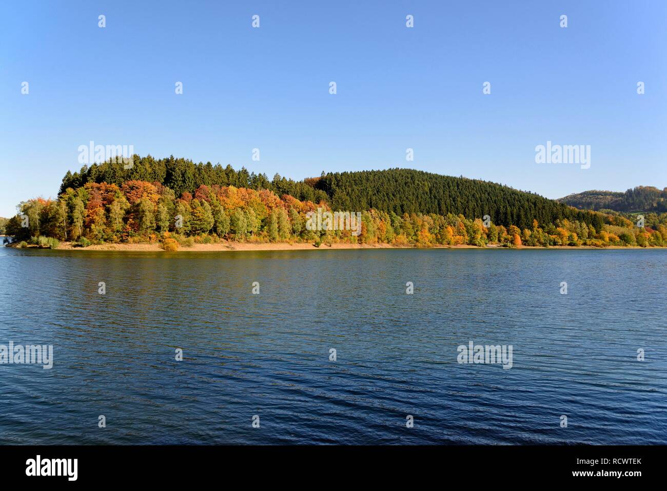 Autumn atmosphere, autumn forest at the Hennesee, Hennetalsperre, nature park Sauerland-Rothaargebirge, North Rhine-Westphalia Stock Photo