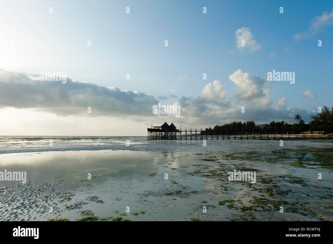 Jetty into the sea, beach, near Jambiani and Paje, Zanzibar, Tanzania Stock Photo