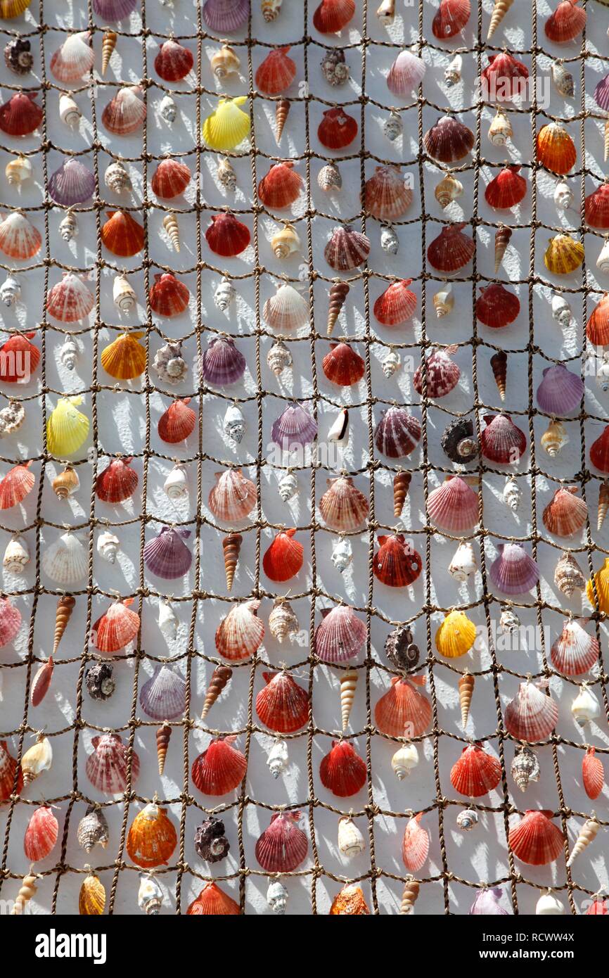 Shell Curtain Stock Photos Shell Curtain Stock Images Alamy