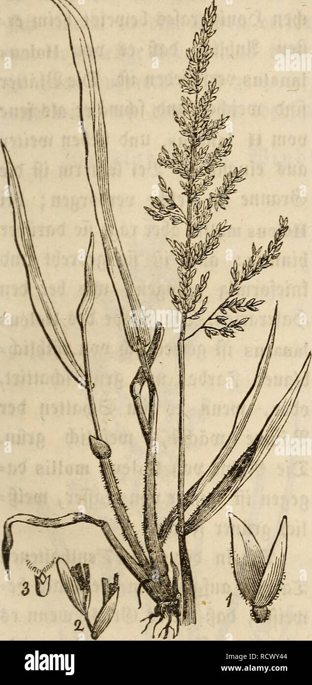 Page 7 Uv L High Resolution Stock Photography And Images Alamy