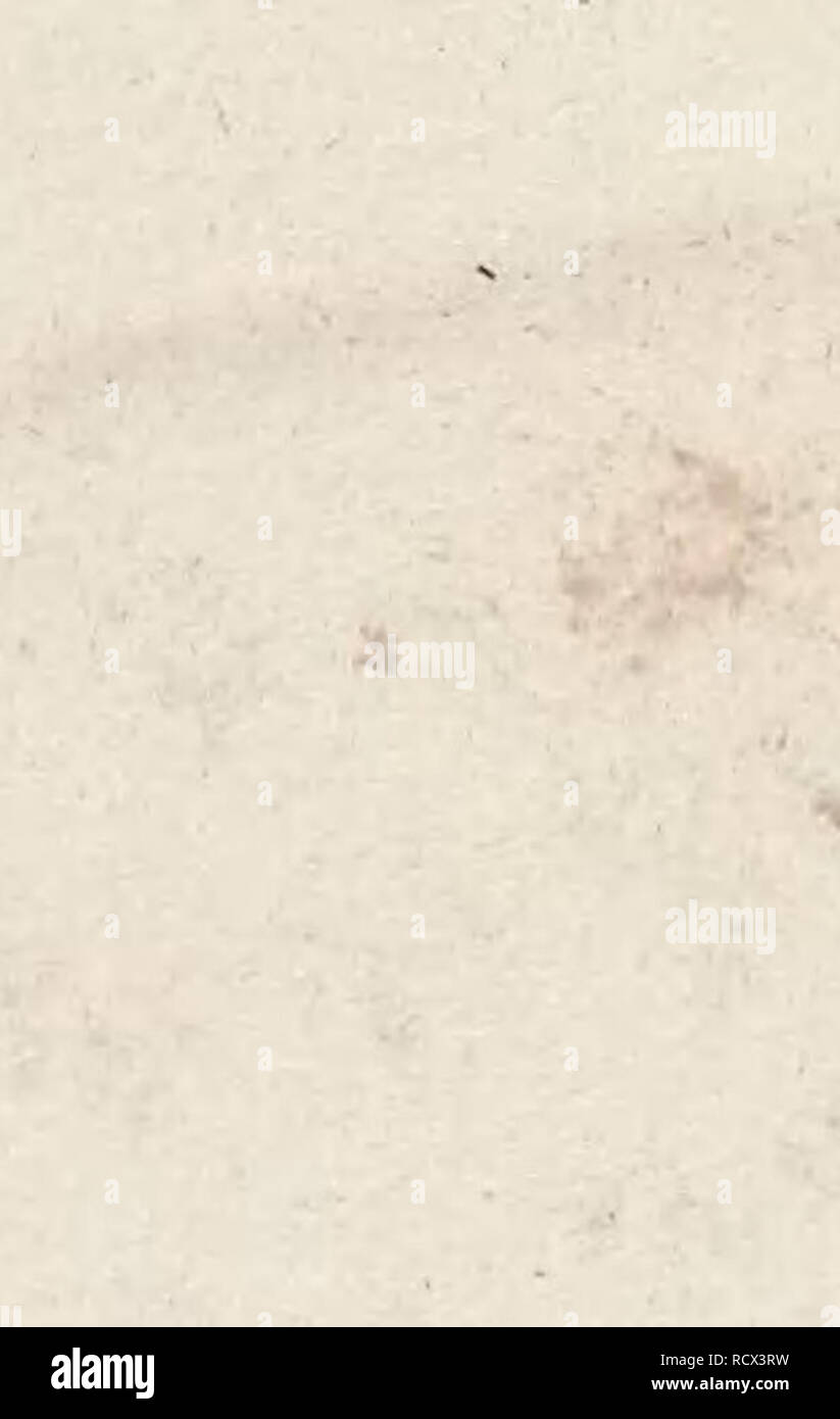 Trapu High Resolution Stock Photography and Images - Alamy