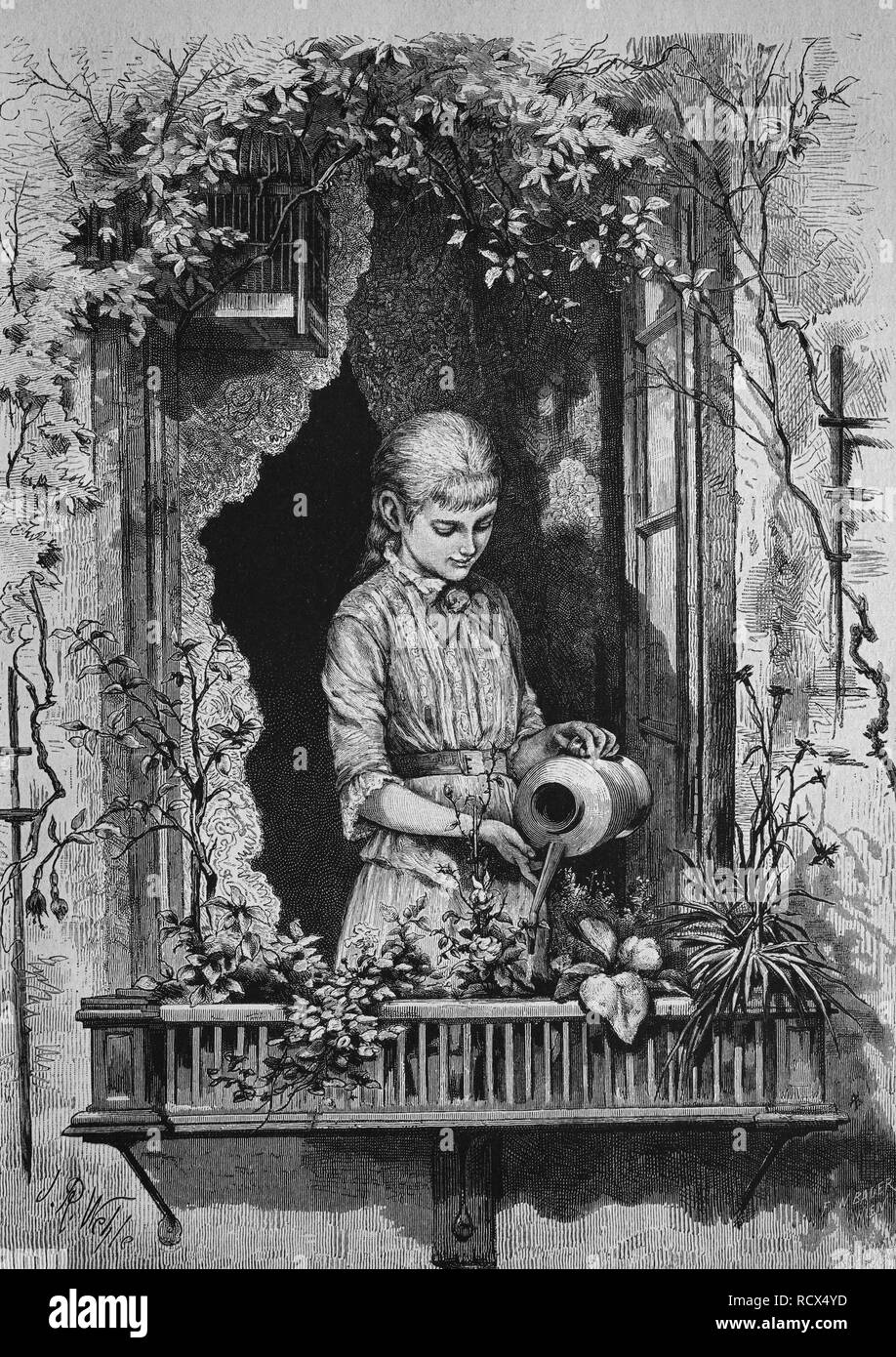 Girl watering flowers, wood engraving, 1880 Stock Photo