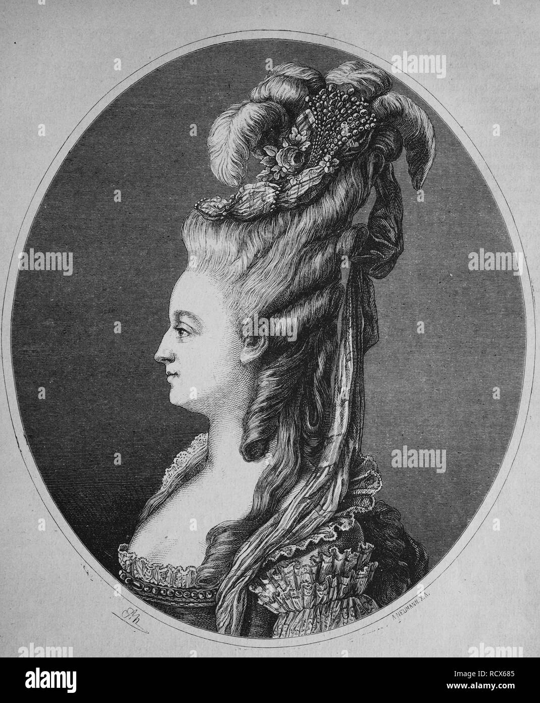 Marie Antoinette, 1755 - 1793, Archduchess of Austria, Princess of Hungary, Bohemia and Tuscany, wood engraving, about 1880 Stock Photo