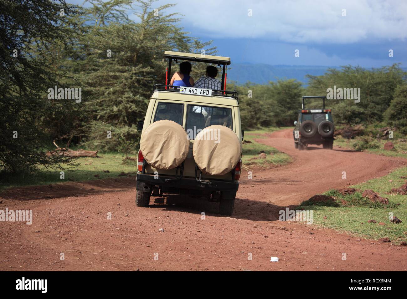 Game drive in Serengeti National Park, Tanzania, Africa Stock Photo