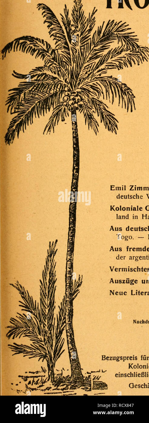 . Der Tropenpflanzer; zeitschrift fr tropische landwirtschaft. Tropical plants; Tropical crops. 21. Jahrgang. Nr. 9. September 1918 DER i. TROPENPFLANZER Zeitschrift für Tropische Landwirtschaft. Organ des Kolonial-Wirtschaftlichen Komitees Wirtschaftlicher Ausschuß der Deutschen Kolonialgesellschaft. Heransgegeben O. Warburg BerKn. von F. Wohltmann Halle a. Saale. Inhaltsverzeichnis. Emil Zimmeimann, Die Bedeutung von Kolonialbesitz für die deutsche Wirtschaft, S. 251. Koloniale Gesellschaften, S. 261: Bank für Chile und Deutsch- land in Hamburg. — Deutsche Palästina-Bank. Aus deutschen Kolon Stock Photo