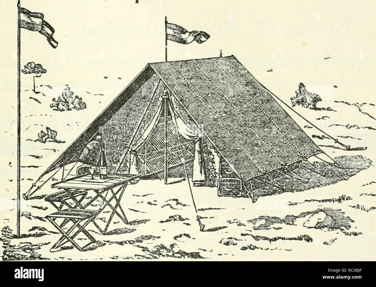 Belia High Resolution Stock Photography And Images Alamy