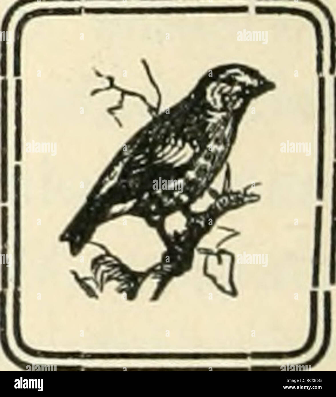 Page 3 Rappen High Resolution Stock Photography And Images Alamy