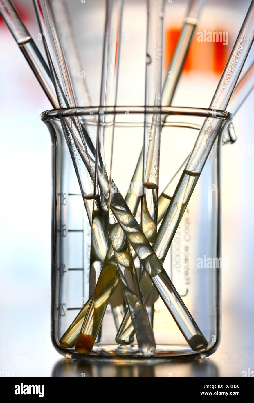 Glass containers with liquids for various trials, which will then be analyzed, chemistry lab