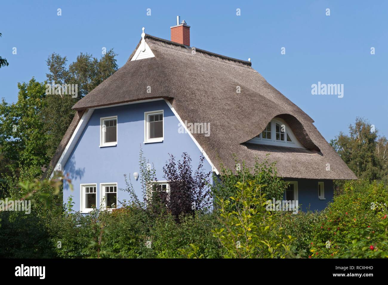 Thatched house, Ahrenshoop, Darss, Mecklenburg-West Pomerania, PublicGround Stock Photo