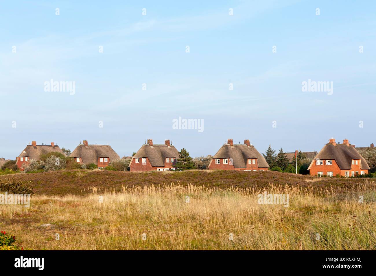 Thatched-roof houses, List, Sylt island, Schleswig-Holstein, PublicGround Stock Photo