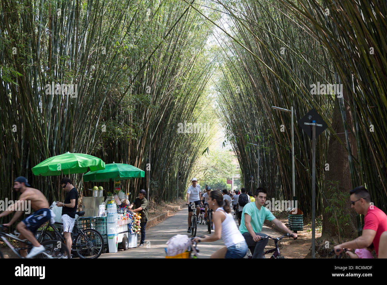 People enjoy walking, biking, cycling. Passersby on bike passing by, through bamboo grove, Parque Ibirapuera, Sao Paulo, Brazil Stock Photo
