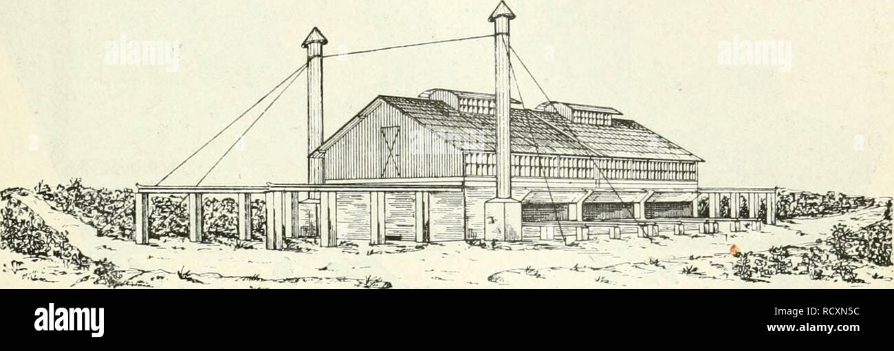 . Der Tropenpflanzer; zeitschrift fr tropische landwirtschaft. Tropical plants; Tropical crops. Hölzerne und eiserne Gebäude aller Art Brücken usw. Moskito- bezw. malariasichere Tropenhäuser. Kakao-Trocken-Häuser.. Altoiia Haiinvi'g-. F. H. Schmidt Haiubur«- Paulstr. 21.. Please note that these images are extracted from scanned page images that may have been digitally enhanced for readability - coloration and appearance of these illustrations may not perfectly resemble the original work.. Berlin Stock Photo