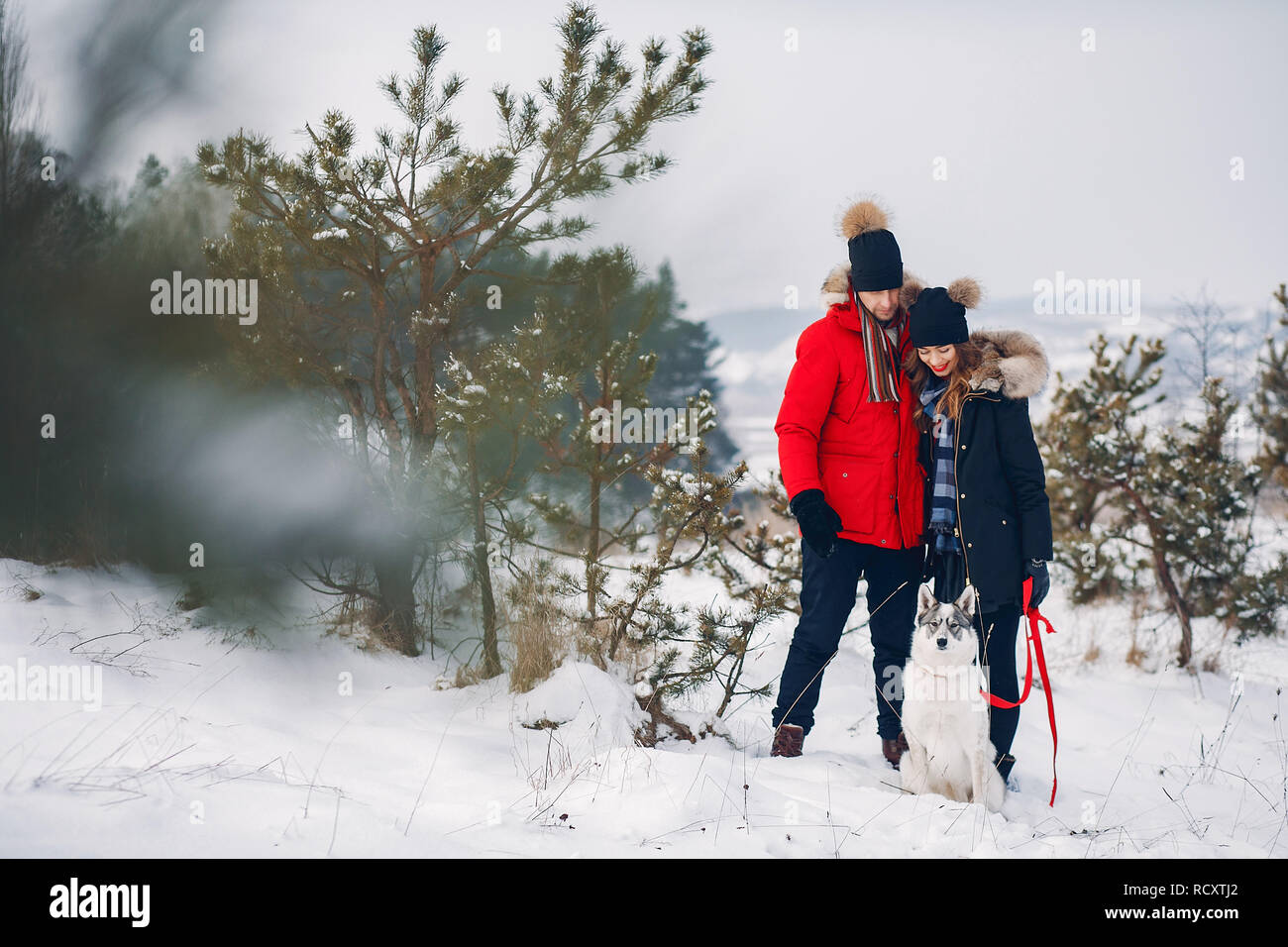 Beautiful couple playing with a dog Stock Photo - Alamy