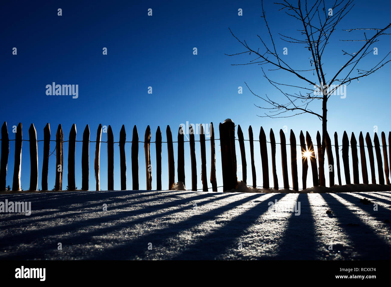 Fence in the backlight in winter Stock Photo