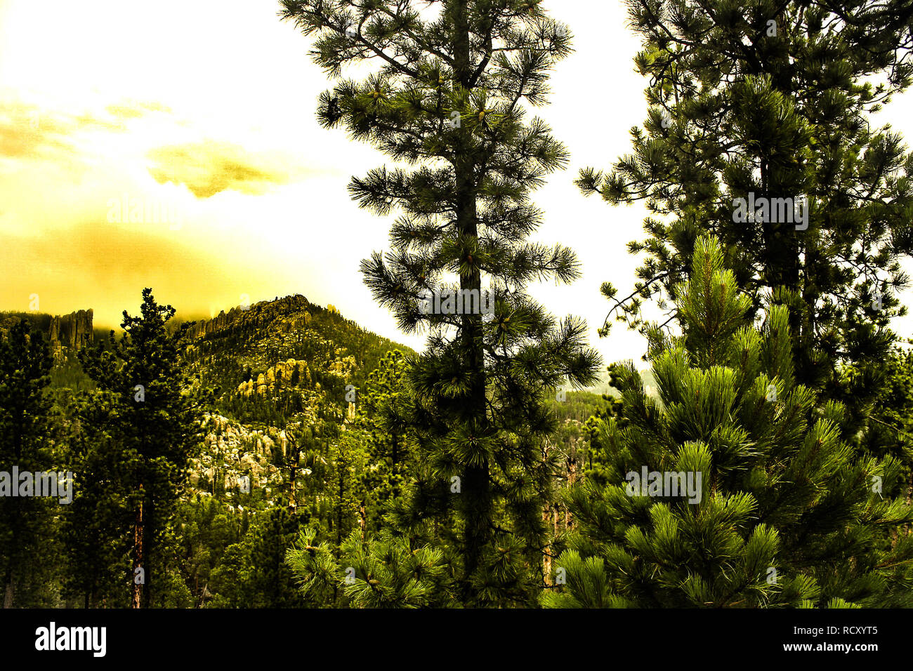 Tall mountain green forest hi-res stock photography and images - Alamy