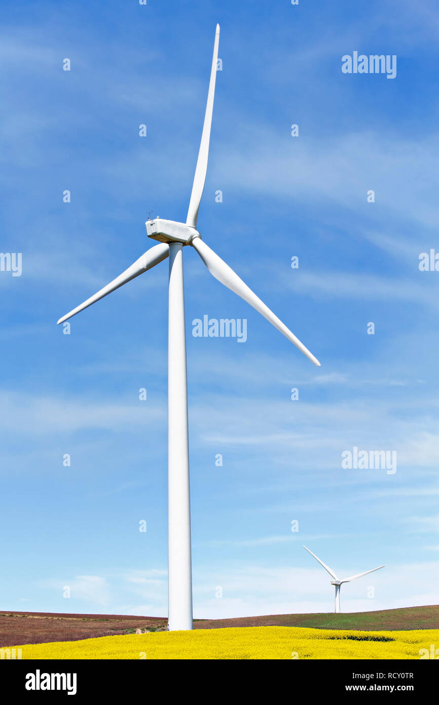 Eco friendly Wind Turbine Farm in Waubra Victoria Australia. Stock Photo