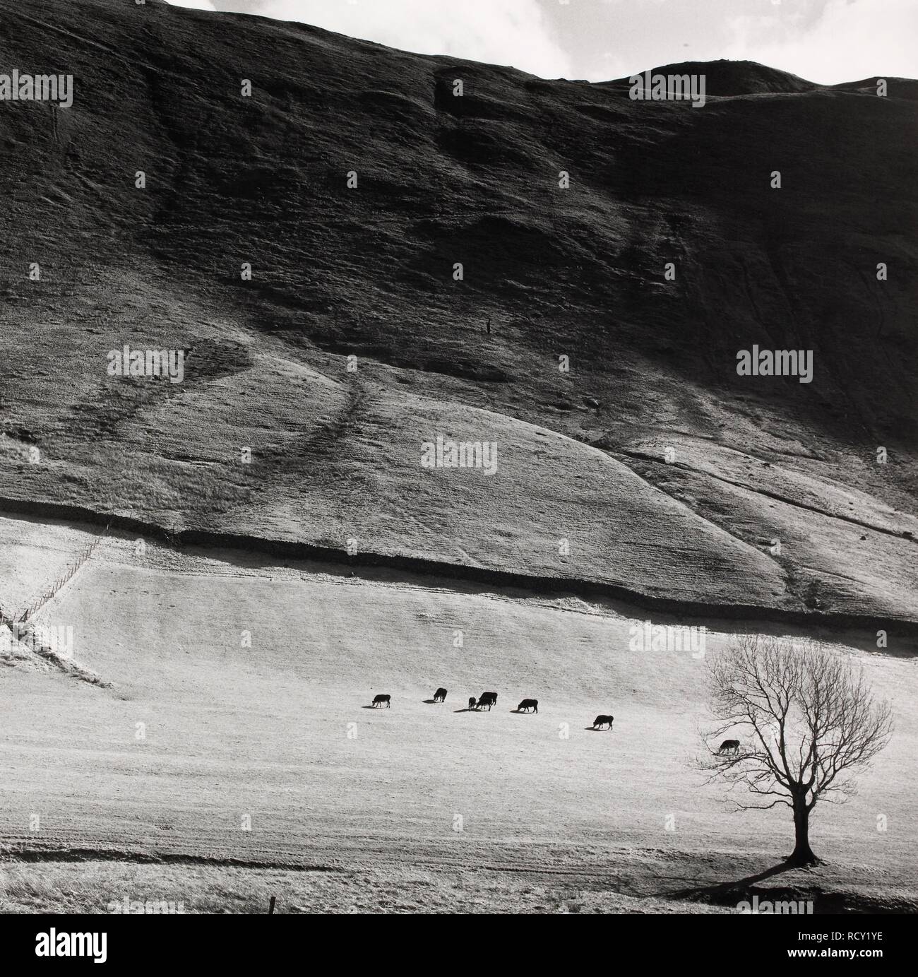Boardale; Cumbria 1982. Monochrome. Source: FG5294-6. Stock Photo