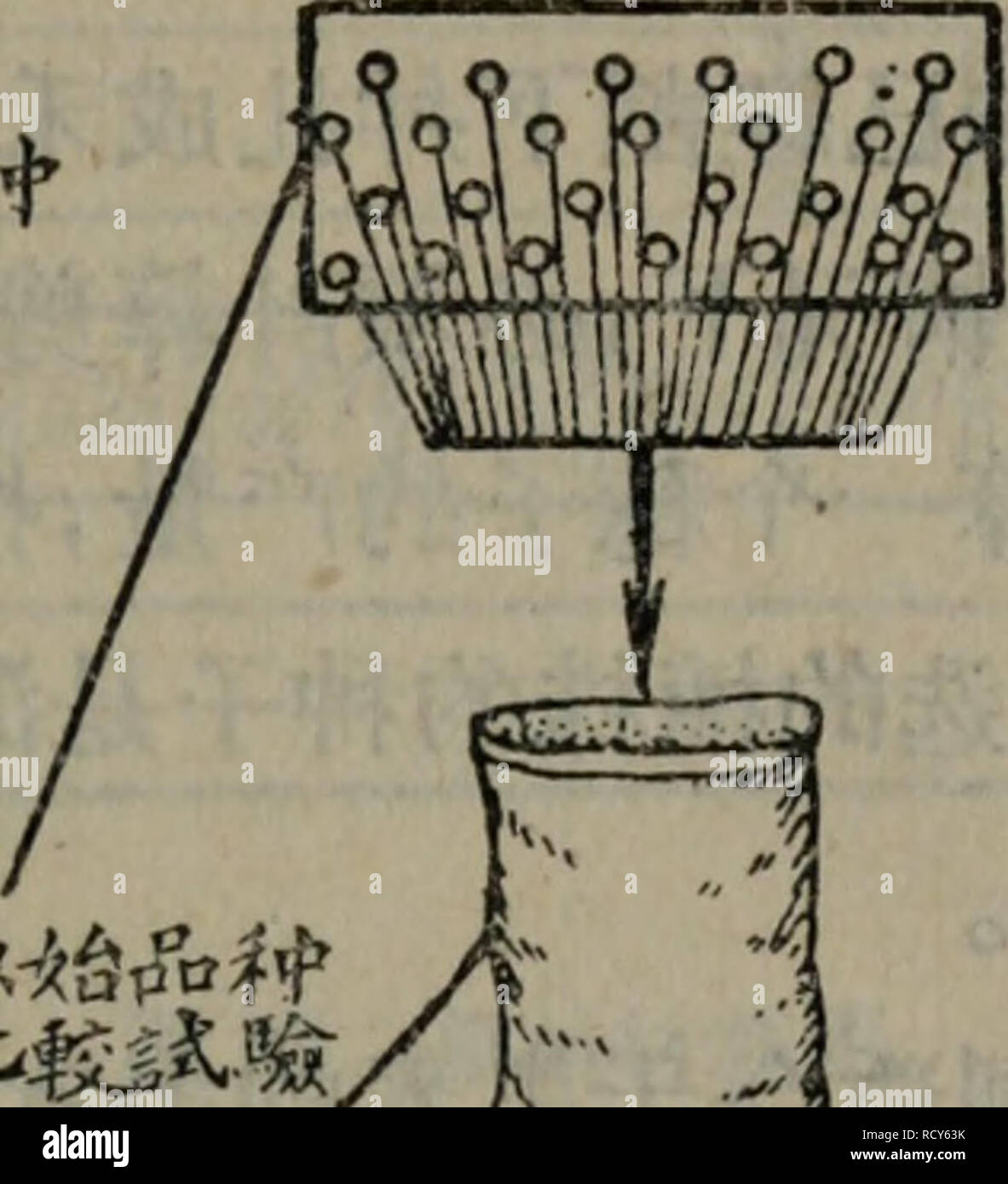 麻雀 牌 種類