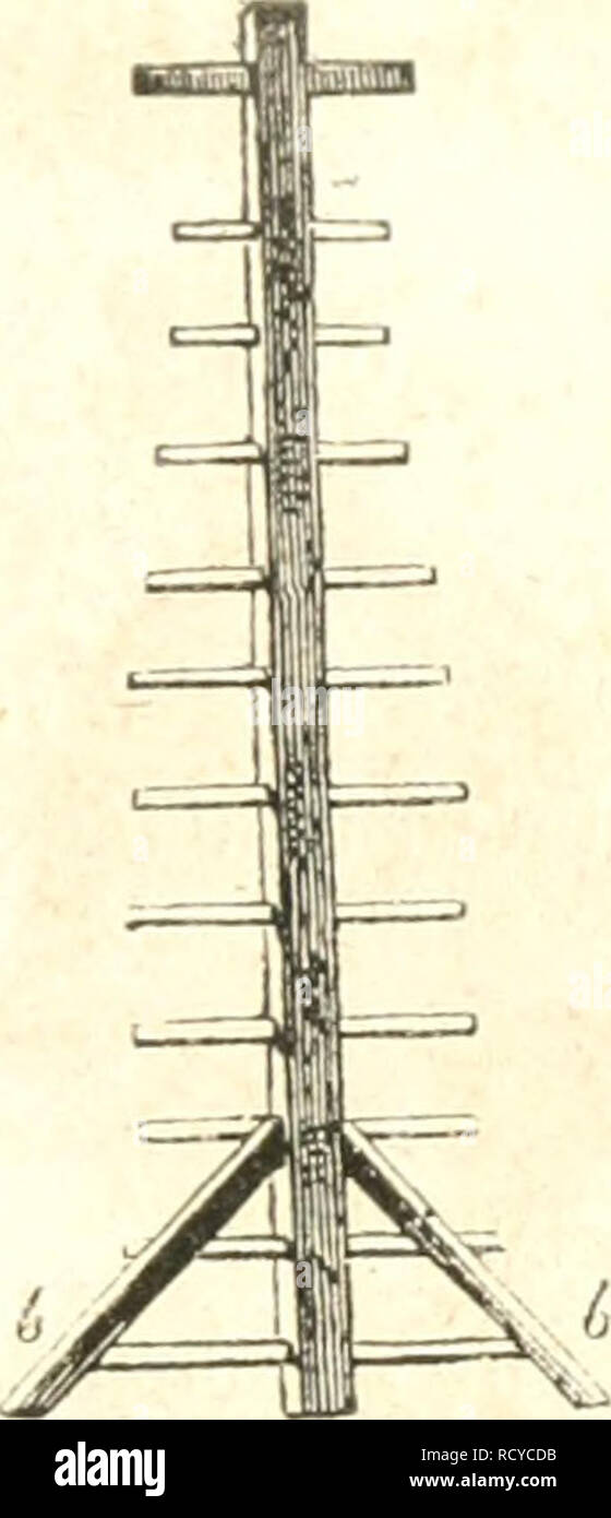 Sefd Stock Photos Sefd Stock Images Alamy