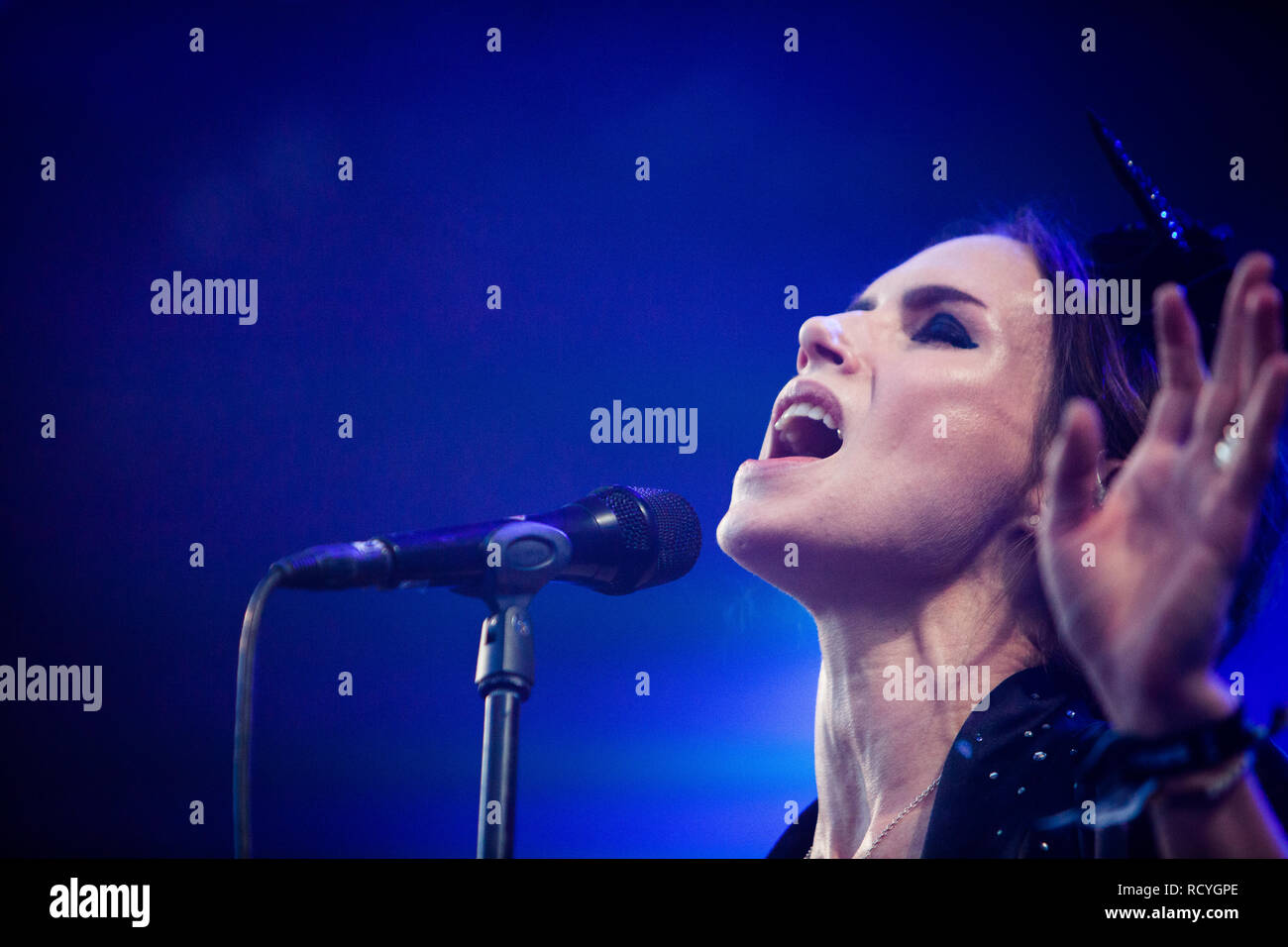 The Swedish singer and musician Nina Persson performs a live concert at the  Danish music festival Northside 2014 in Aarhus. Nina Persson also known as  the singer of the Swedish pop group
