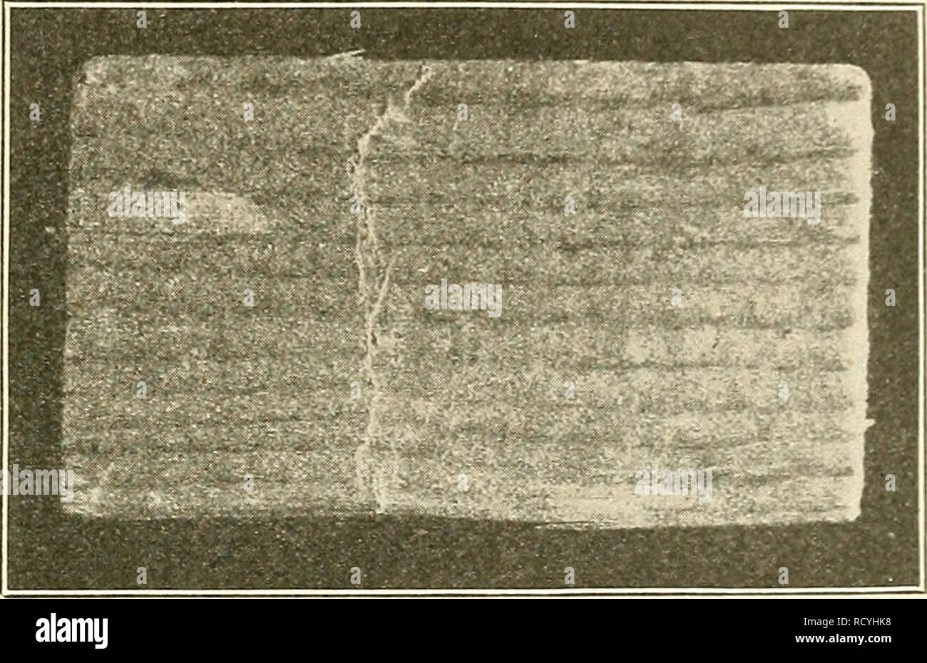Mechanical properties of wood hires stock photography and images Alamy
