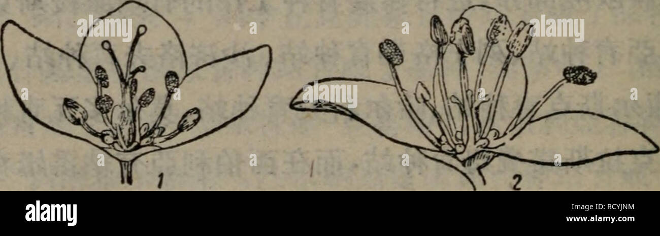 好 市 多 28 公升 冰 桶