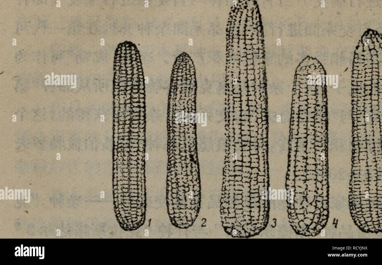 Ge Tian High Resolution Stock Photography And Images Alamy