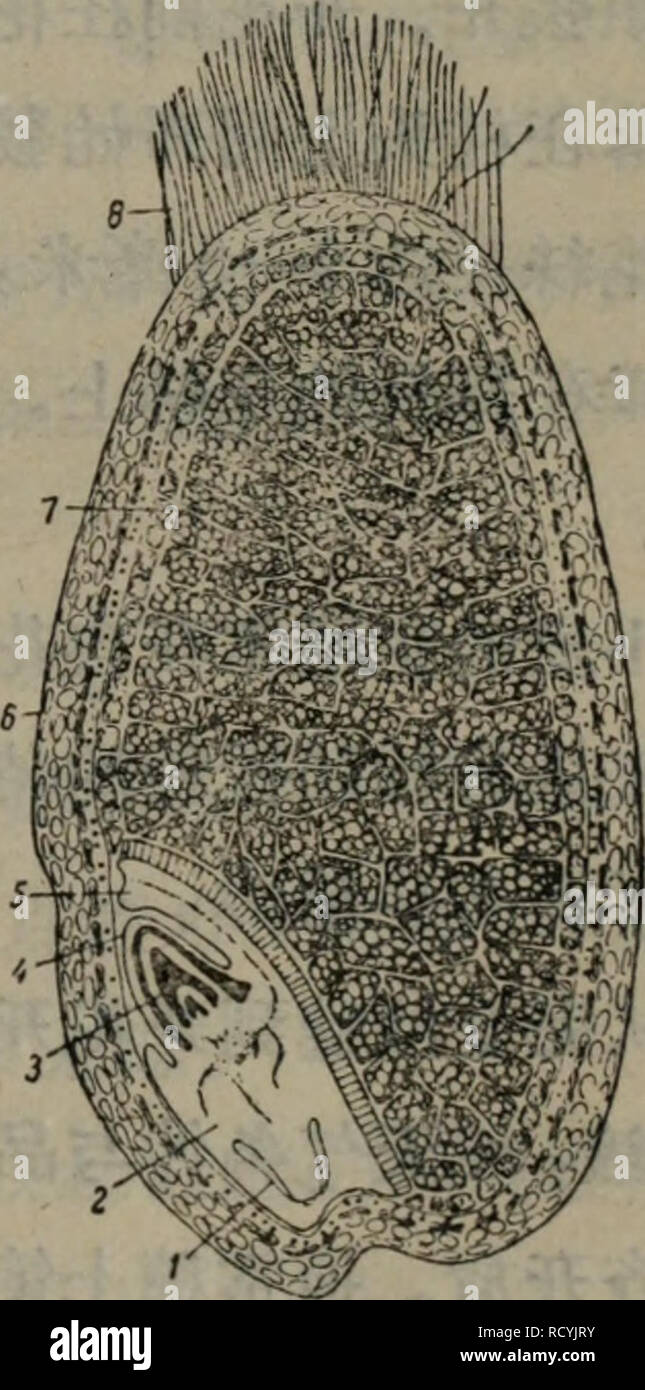 Ge Tian High Resolution Stock Photography And Images Alamy