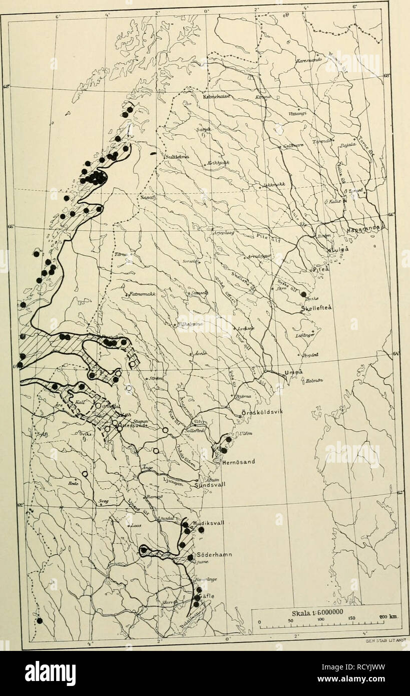 . Den norrländska florans : geografiska fördelning och invandringshistoria ; med särskild hänsyn till dess sydskandinaviskar arter. Plants; Plants. KARTOR OCH STà NDORTER 341 Kartan lo. Asperula odorata.. Jfr texten s. i6o.. Please note that these images are extracted from scanned page images that may have been digitally enhanced for readability - coloration and appearance of these illustrations may not perfectly resemble the original work.. Andersson, Gunnar, 1865-1928; Birger, Selim, 1879-1931. Uppsala : Almqvist & Wiksell Stock Photo