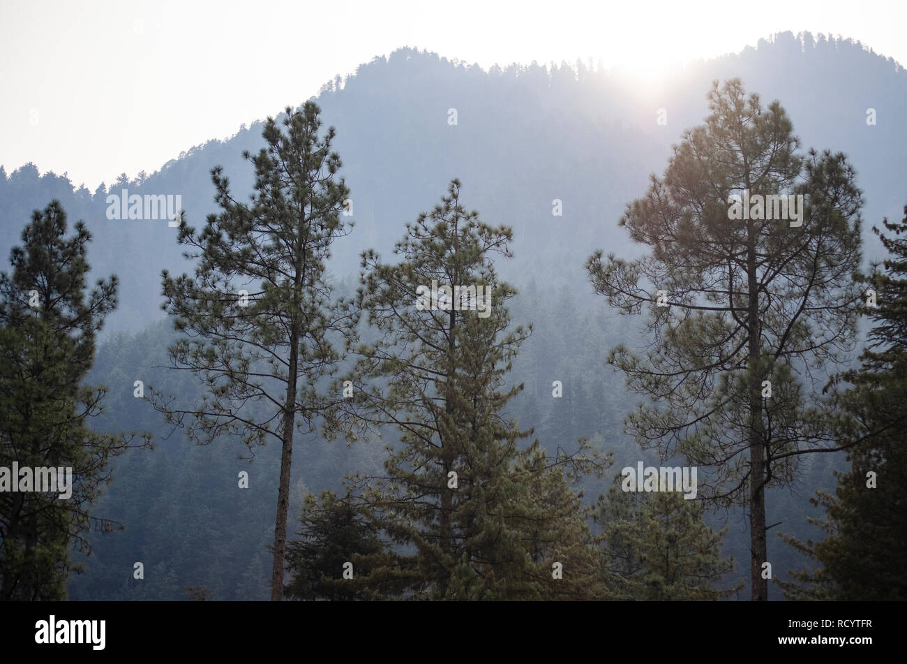 Himalayan landscape viewed from Kasol. Stock Photo