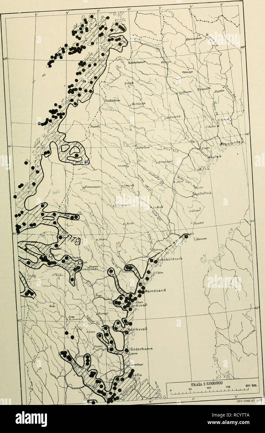 . Den norrländska florans : geografiska fördelning och invandringshistoria ; med särskild hänsyn till dess sydskandinaviskar arter. Plants; Plants. Kartan 5. Ajuga pyramidalis. 331. ' ' ,. , 1 T Xnr<^e är den, utom på de å kartan ans. Please note that these images are extracted from scanned page images that may have been digitally enhanced for readability - coloration and appearance of these illustrations may not perfectly resemble the original work.. Andersson, Gunnar, 1865-1928; Birger, Selim, 1879-1931. Uppsala : Almqvist & Wiksell Stock Photo