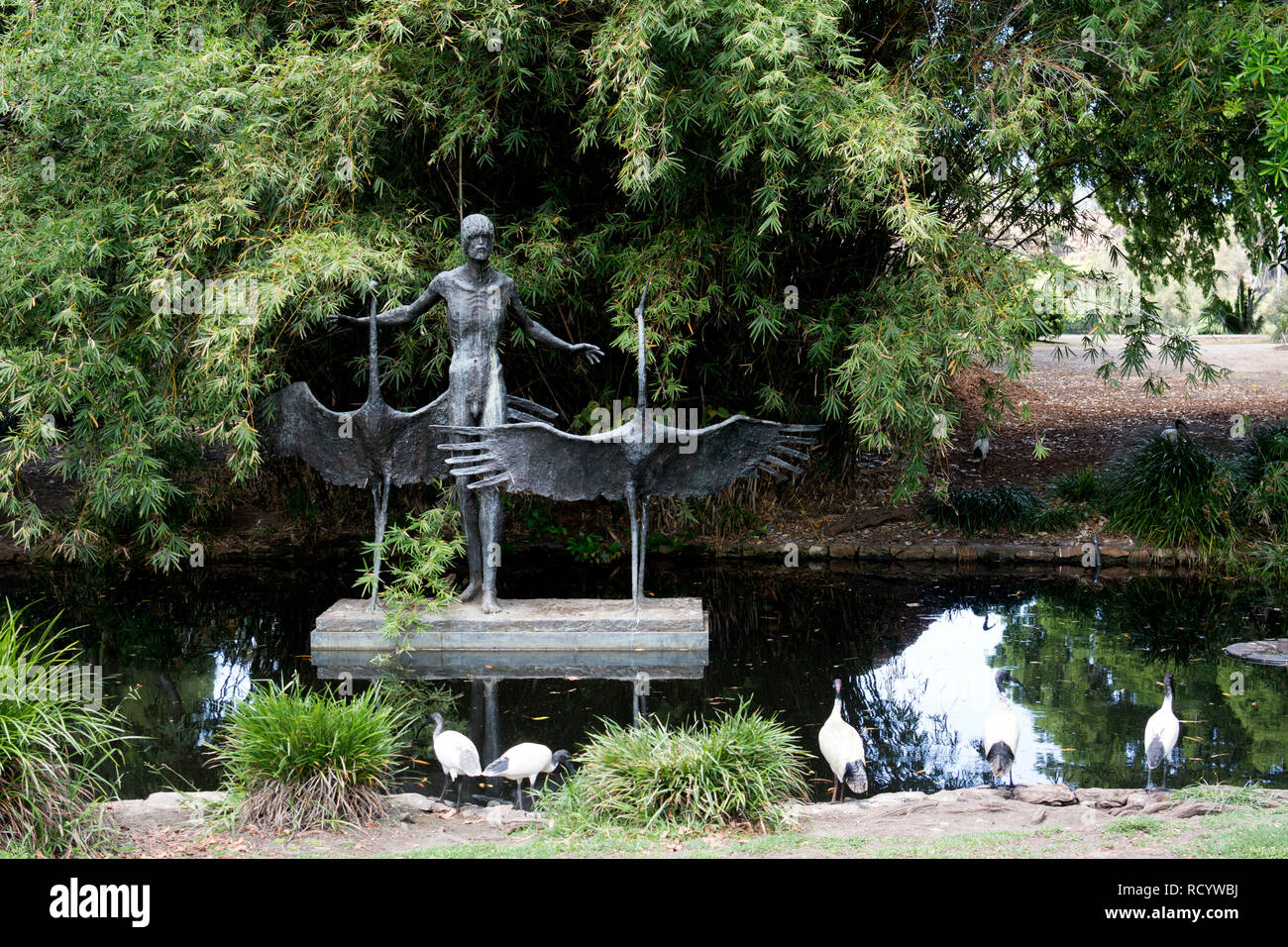 Jeremy Morrill and the Brolgas sculpture, City Botanic Gardens ...