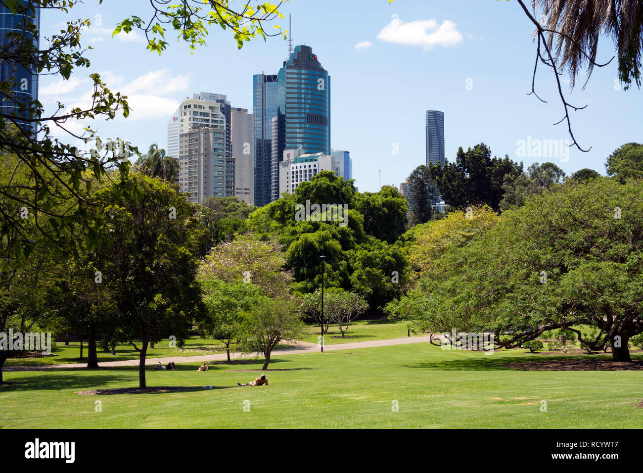 City Botanic Gardens, Brisbane, Queensland, Australia Stock Photo Alamy