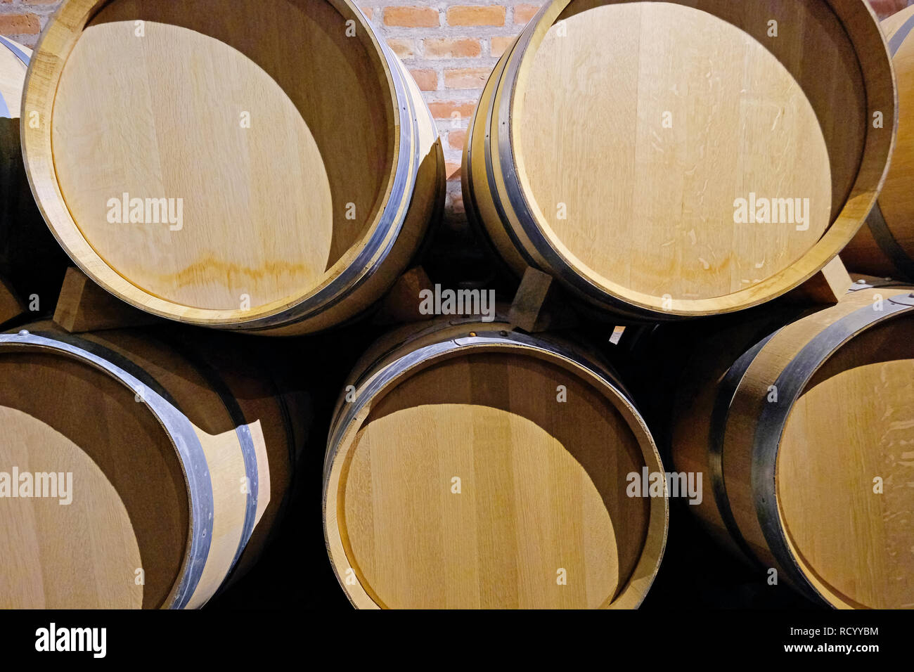 Oak wine barrels in the cellar of a Malbec winery factory in San Juan