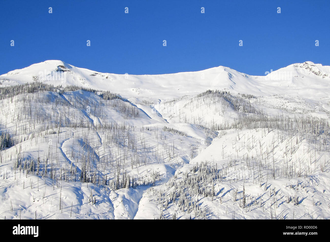Winter landscape with mountains and trees in The Bugaboos, Purcell Mountains, Bugaboo Provincial Park, Britisch Columbia Stock Photo